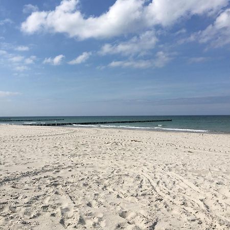 Seepferdchen Zingst Ngoại thất bức ảnh
