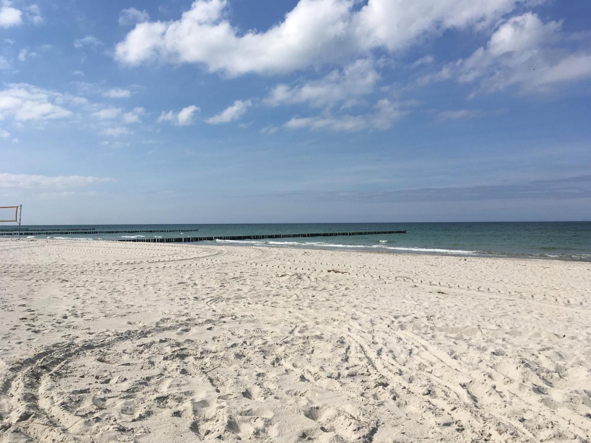 Seepferdchen Zingst Ngoại thất bức ảnh
