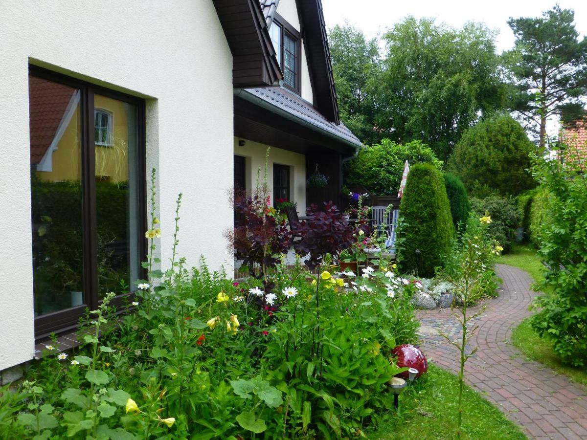 Seepferdchen Zingst Ngoại thất bức ảnh